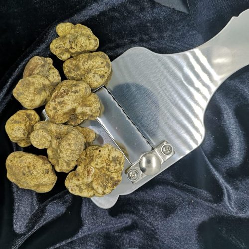 Tartufo Bianco Pregiato piccolo 50gr. (Tuber Magnatum Pico)