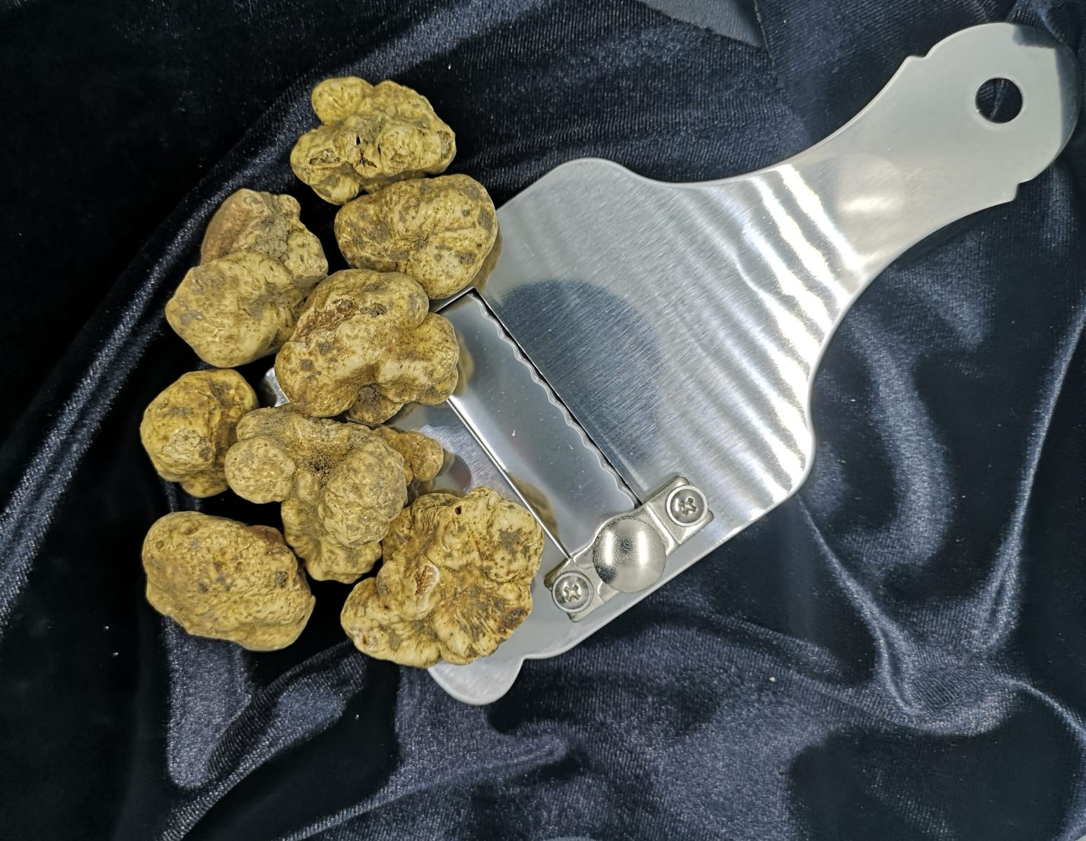 Tartufo Bianco Pregiato piccolo 50gr. (Tuber Magnatum Pico)