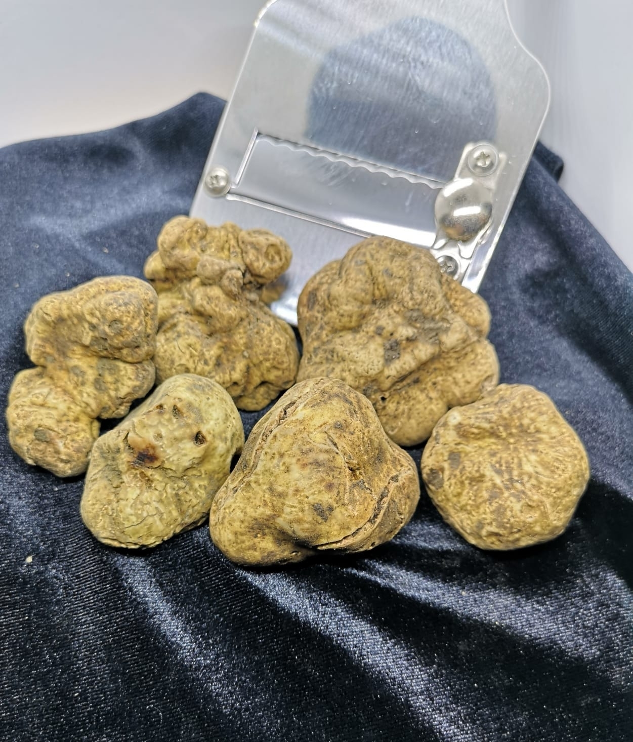 50 GR.TARTUFO BIANCO PREGIATO SCELTO (Tuber Magnatum Pico)
